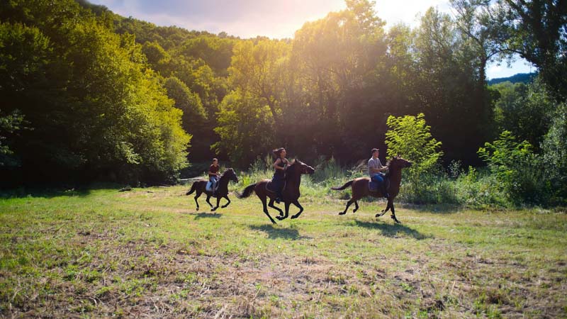 horseback riding