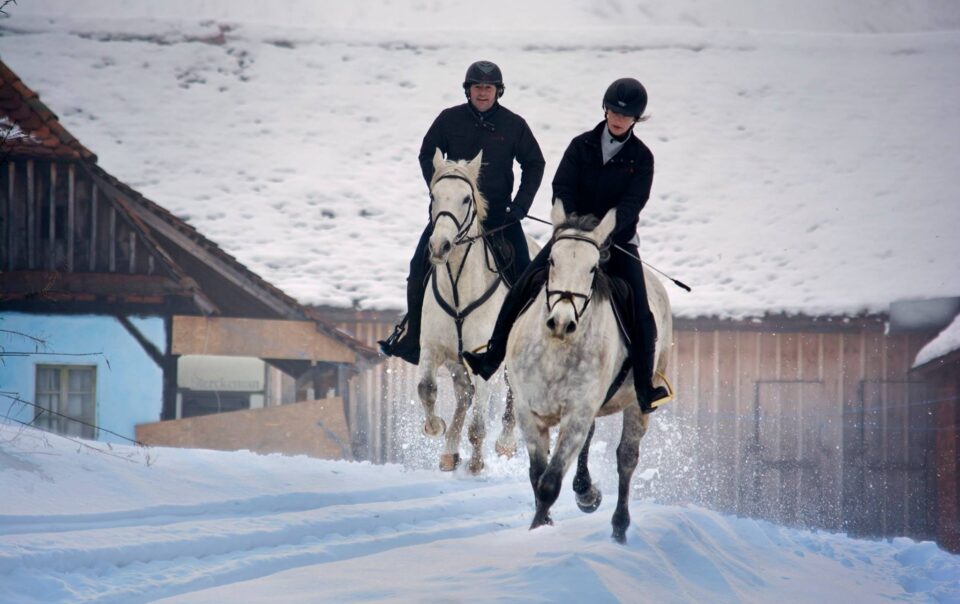 Horseback riding in Transylvania