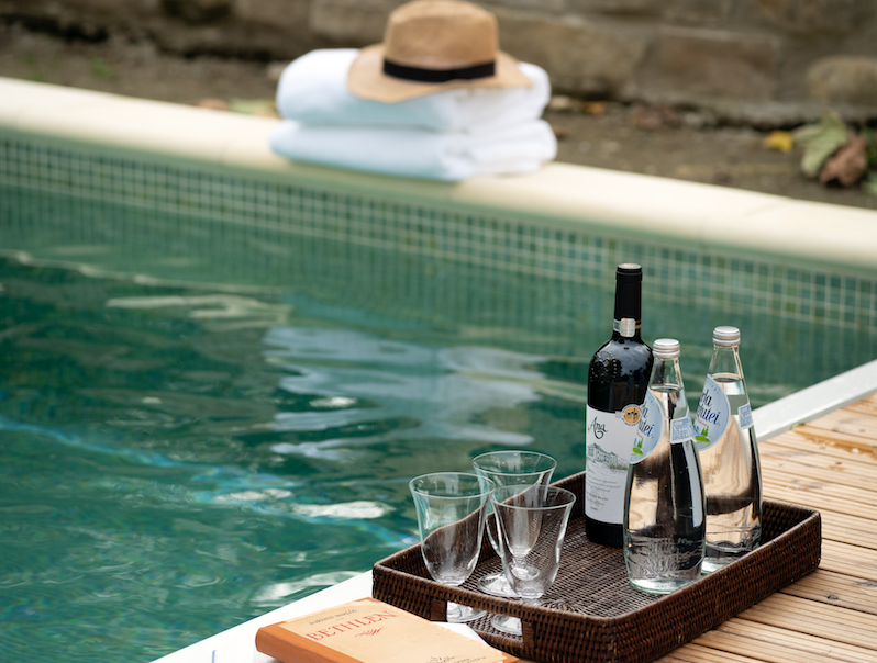 Swim at Bethlen Estates Transylvania