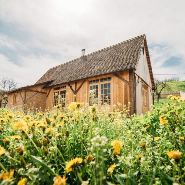 Spring in Transylvania