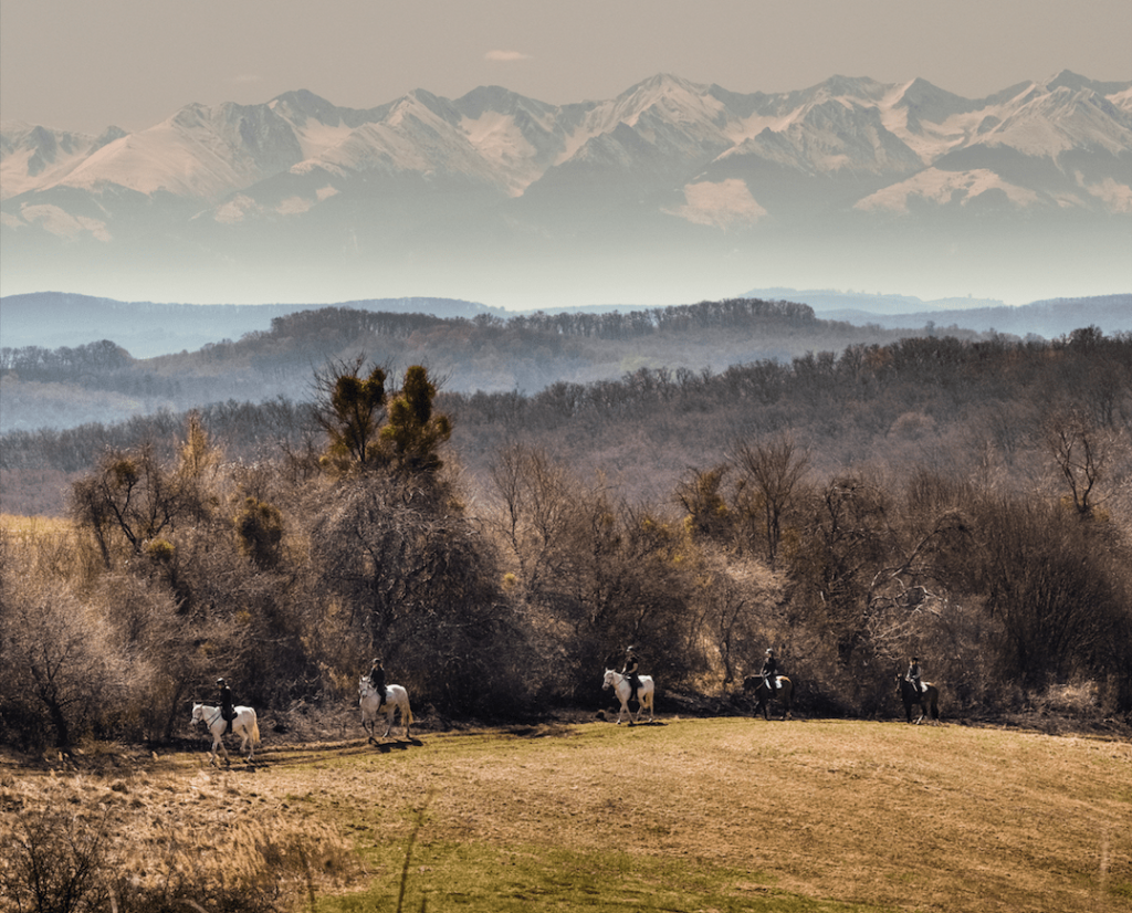 Horseback riding Transylvania