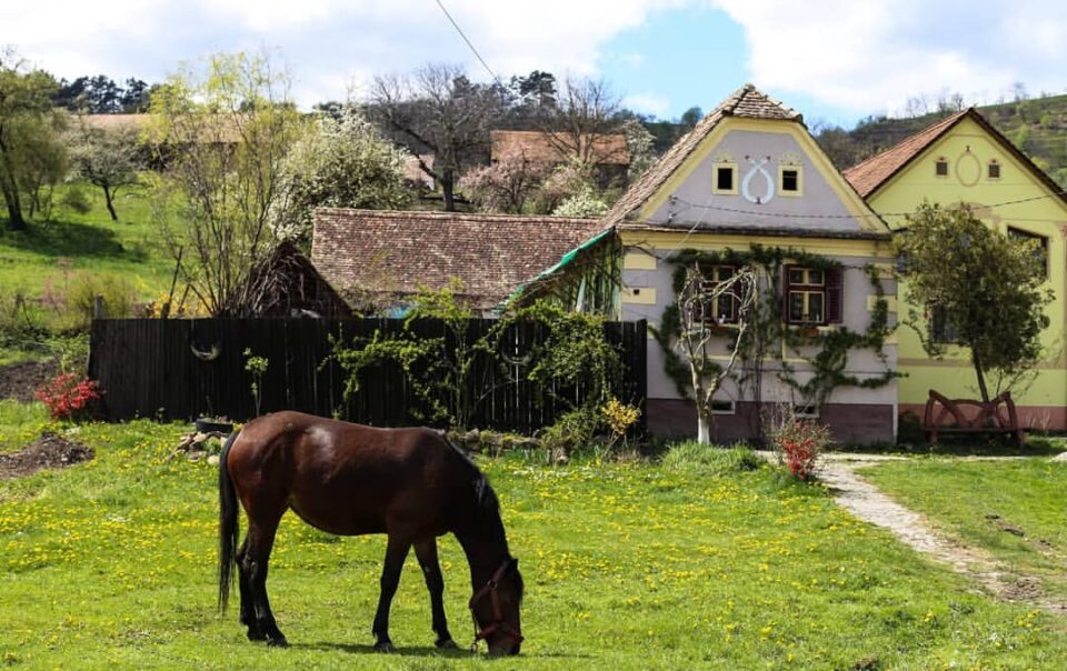 cycling along the Via Transylvanica