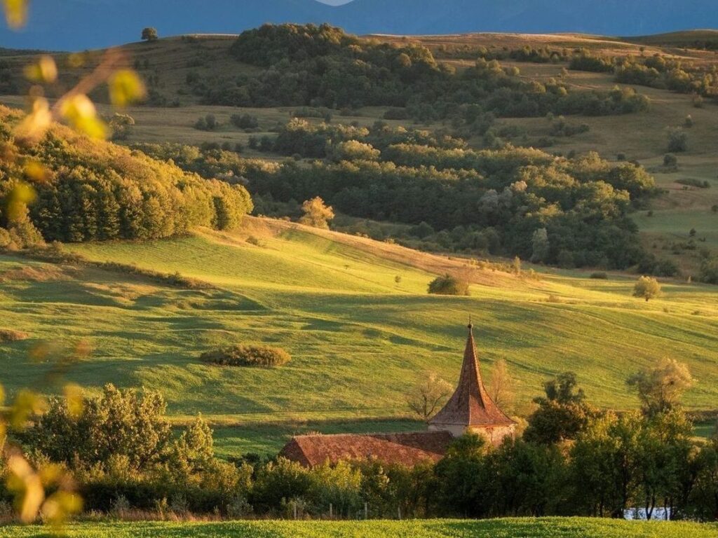 bethlen estate summer escapades- Embracing the Charms of the Sunlit Season