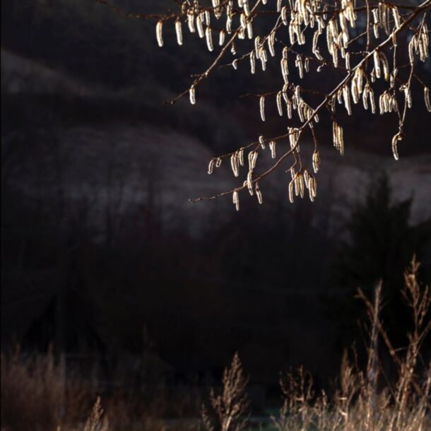 Autumn's Magic in Bethlen estates Transylvania