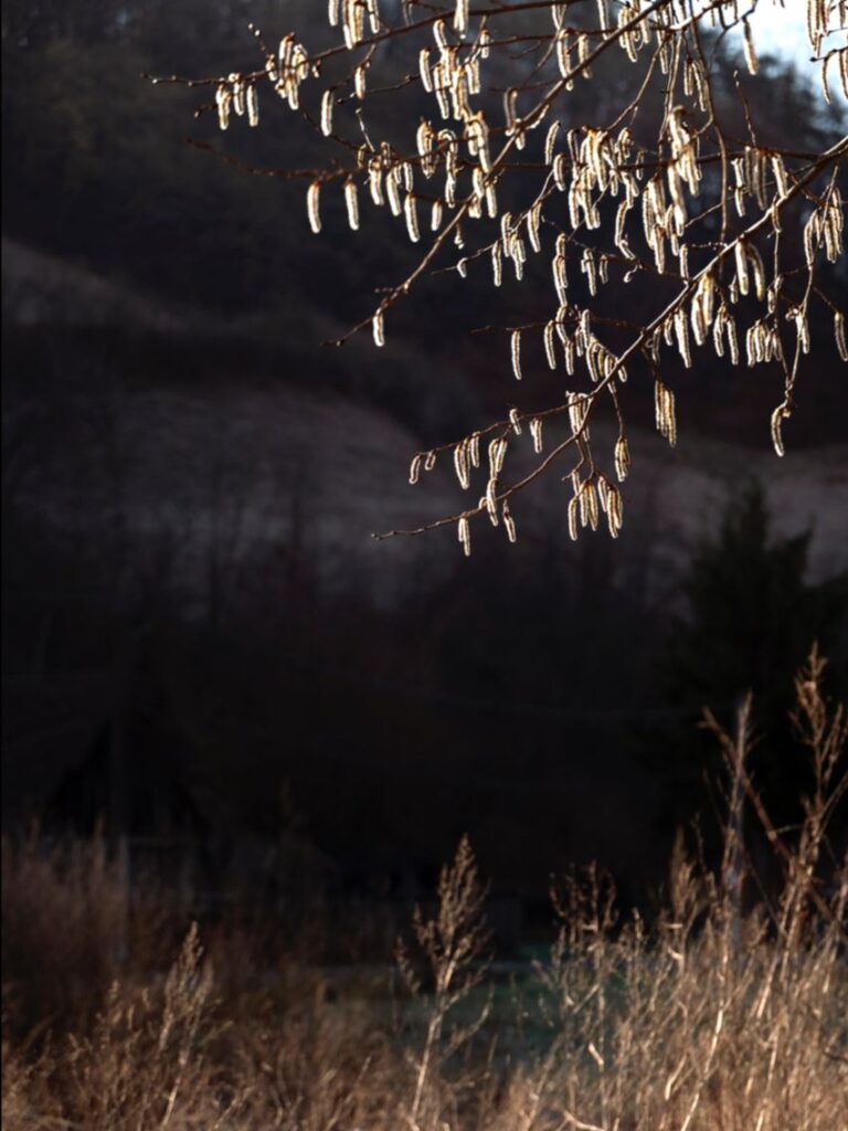 Autumn’s Magic: Escape to Bethlen Estates Transylvania